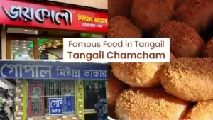 Famous Food in Tangail- Tangail Chamcham