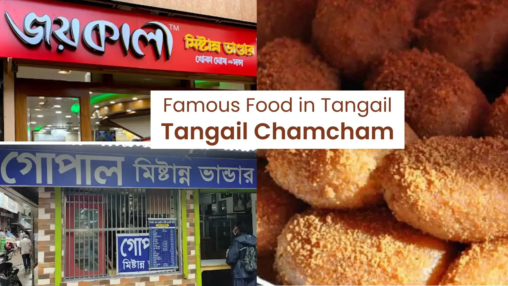 Read more about the article What is the Most Famous Food in Tangail?