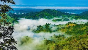 What is Best for Sylhet?
