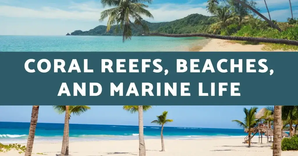 Coral Reefs, Beaches, and Marine Life