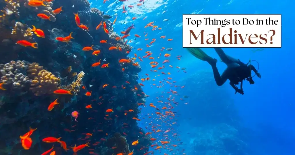 Top Things to Do in the Maldives