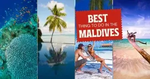 Best Thing to Do in the Maldives