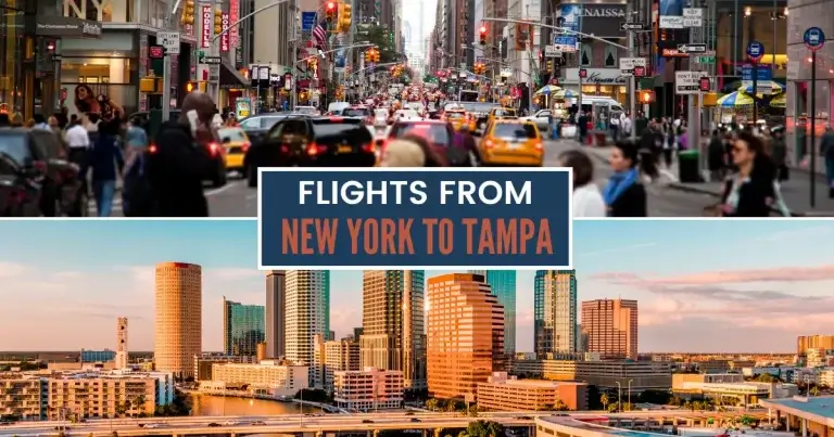 Flights from New York to Tampa