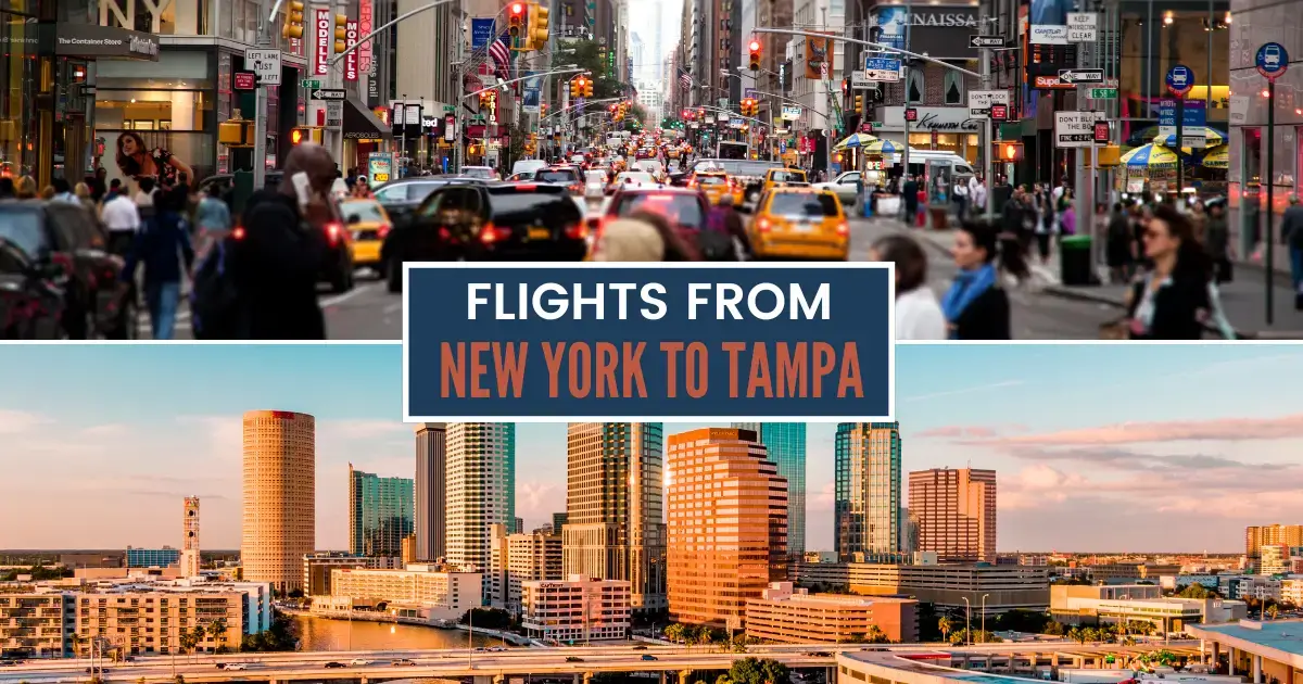 You are currently viewing Flights from New York to Tampa: Ultimate Guide & Tips