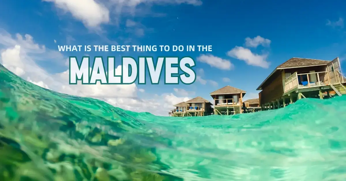 You are currently viewing What is the Best Thing to Do in the Maldives?