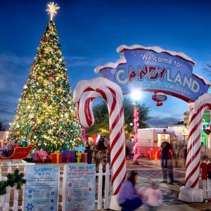Best Places to Visit During Christmas in Usa