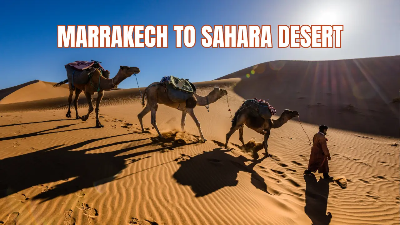 Read more about the article Marrakech to Sahara Desert 7-Day Itinerary: Ultimate Morocco Road Trip Guide