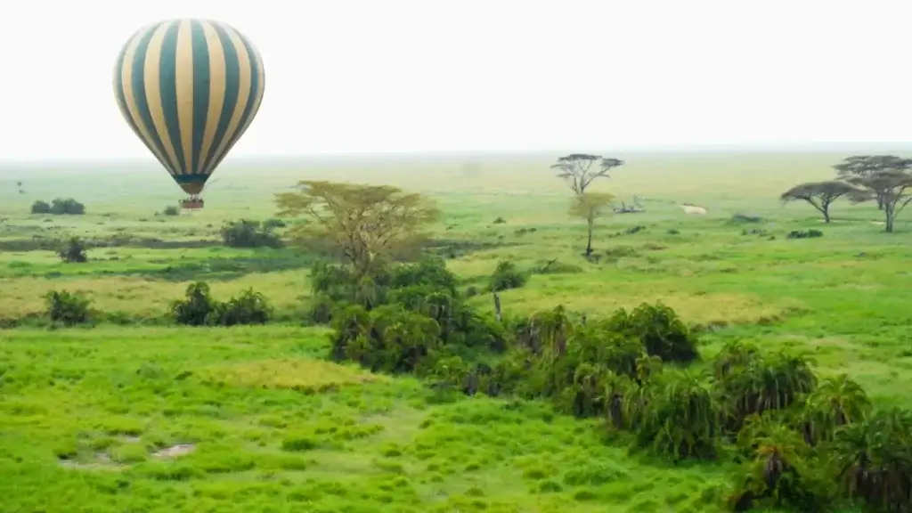 Serengeti, Tanzania