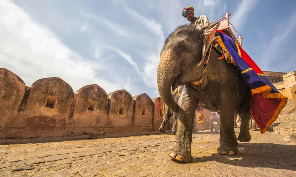 Amber Palace, Jaipur, India
