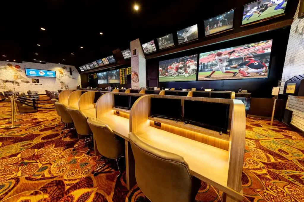 Casino and Gambling Experience