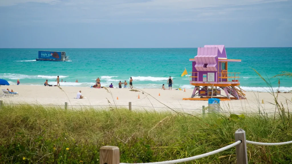 South Pointe Park Tours