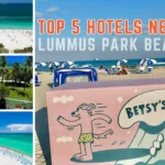 Top 5 Hotels Near Lummus Park Beach, Miami
