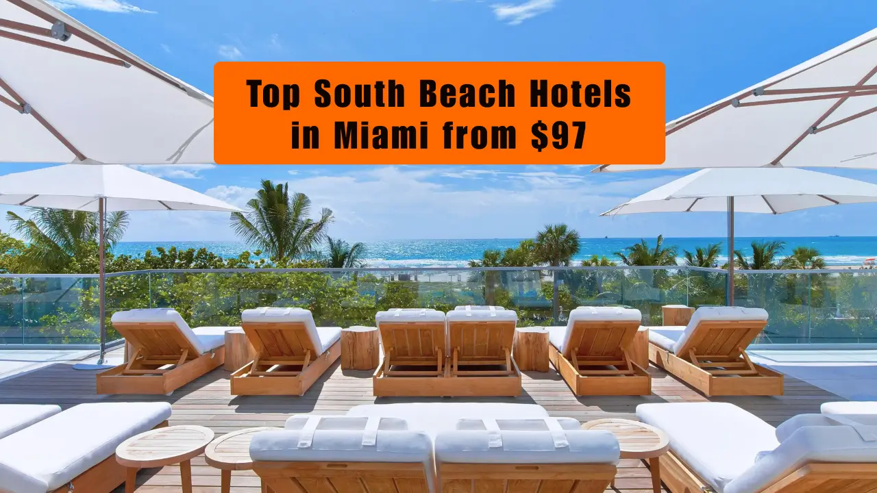 You are currently viewing Top South Beach Hotels in Miami from $97 – A Complete Travel Guide